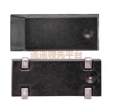 ɫմty8ƽ̨¼,RSM200S,RALTRONty8ƽ̨¼,RSM200S-32.768-12.5-TR